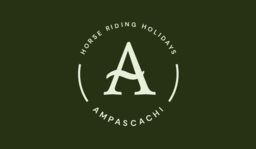 ampascachi.com